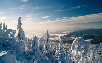 Winter Landscape